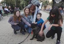 Uspela i „Jesenja revija pasa iz azila“