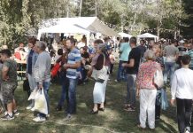 A gasztronómiát ünnepelték Óbecsén