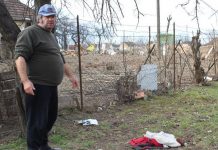 Kraj ulaza u bečejsko malo katoličko groblje pronađen leš Mesto gde je nađen beživotno telo