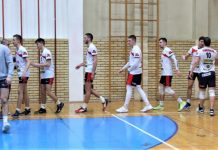 Odbojka: Bečejci se vratili u Prvu B ligu Zaslužen povratak u Prvu B ligu