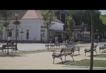 „MojBečej fokus “ – vesti za 10. avgust 2020. godine
