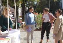 Projektum a női egyenjogúságért