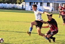 Fudbal: Papire uzeo i Pavlović Nebojša Pavlović je posle godinu dana napustio obalu Tise