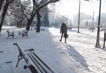 „MojBečej fokus “ – vesti za 18. januar 2021. godine