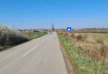 Postavljena dva „ležeća policajca“ na putu ka Bisernom ostrvu Foto: JP Komunalac