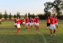 Fudbal: Jedinstvo gostuje u Srbobranu Petrovoselci priželjkuju pobedu u Srbobranu
