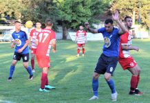 Fudbal: Vojvodina se obrukala na oproštaju od sezone Retka situacija pred golom Crvenčana