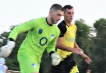 Fudbal: Vojvodina pobedila u Apatinu Bratislav Jelić blistao u Apatinu
