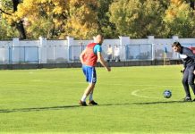Fudbal: Bečejci teže od očekivanog došli do nove pobede Četvorodnevno odsustvo Branka Savića nadoknadiće Dalibor Novčić