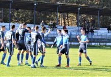 Fudbal: Vojvodina se pobedom oprostila od navijača Radost fudbalera Vojvodine posle prvog gola Bratislava Jelića