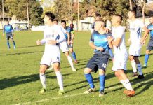 Fudbal: Vojvodina iz Bačkog Gradišta uknjižila treći prvenstveni poraz zaredom Retke su bile situacije pred golom Bajše