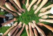 Poziv za buduće hranitelje iz Novog Bečeja Izvor: Pixabay