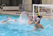 Vaterpolo: Završnica kadetskog kupa Vojvodine za 2005. godište Boris Popov (5) biće jedan od aktera predstojećeg kadetskog finala kupa Vojvodine