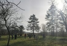 Uspešna akcija i 800 novih sadnica drveća širom Bečeja i Radičevića