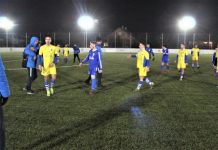 Fudbal: Jelkin poker Na kraju prijateljski pozdrav