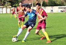Fudbal: Vojvodina iz Bačkog Gradišta u subotu gostuje u Kovilju Kapiten Miodrag Pelengić je van stroja zbog koronavirusa