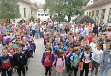 Školska godina: U prvi razred upisan 321 učenik Početak školske godine u „Šamu Mihalj“ u Bečeju