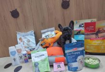 ŽarVel vet-pet centar – Popusti, iznenađenja i noviteti