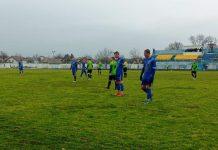 Fudbal: OFK Bečej 1918 dočekuje Omladinac iz Novih Banovaca u nastavku prvenstva
