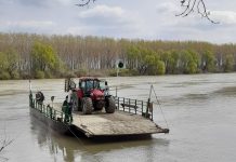 Od danas više temperature Skela na Tisi kod Bačkog Petrovog Sela | Foto: D. Stajić