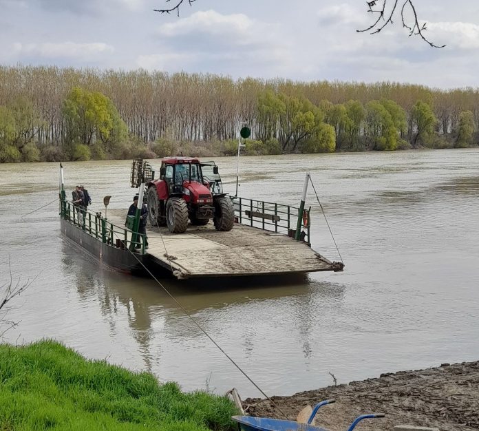 Skela na Tisi kod Bačkog Petrovog Sela | Foto: D. Stajić Skela na Tisi kod Bačkog Petrovog Sela | Foto: D. Stajić