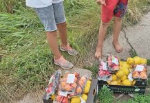 I do opštine Bečej stigla značajna donacija Banke hrane Vojvodine i Delhaize Srbija