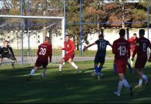 Fudbal: Vojvodina polovična u dosadašnjem delu prvenstva