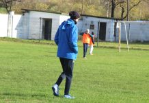 Fudbal: Sunovrat Bečejaca prekinula pauza Odlazi ili ostaje - Trener OFK Bečej !918 Damir Dakić