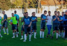 Fudbal: Vojvodina u nedelju (17) dočekuje subotičku Bačku 1901 Fudbaleri Vojvodine priželjkuju pobedu protiv Subotičana