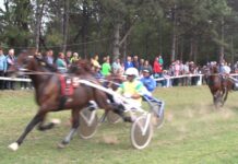 Kiša ostavila kasače u štalama Lanjsko dešavanje na bečejskom hipodromu
