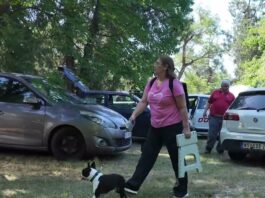 Međunarodna izložba pasa CACIB okupila više od 300 pasa iz 15 zemalja u Bečeju