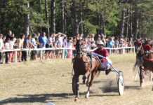 Konjički klub „Potisje“ u nedelju obeležava vredan jubilej