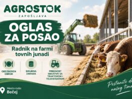 Agrostok farma u Bečeju traži radnika za rad na farmi tovnih junadi