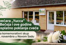 Cvećara „Yucca” iz Bečeja poklanja cveće građanima za komemorativni skup u Novom Sadu