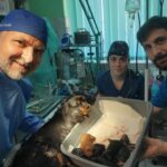 ŽarVel – 19 godina stručne i posvećene brige o vašim ljubimcima